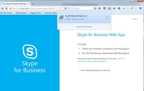 skype business web service